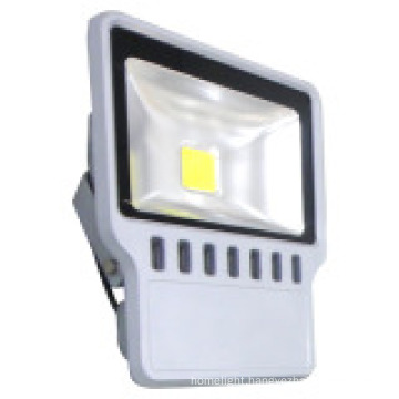 30W COB LED Project Light with 2years Warranty